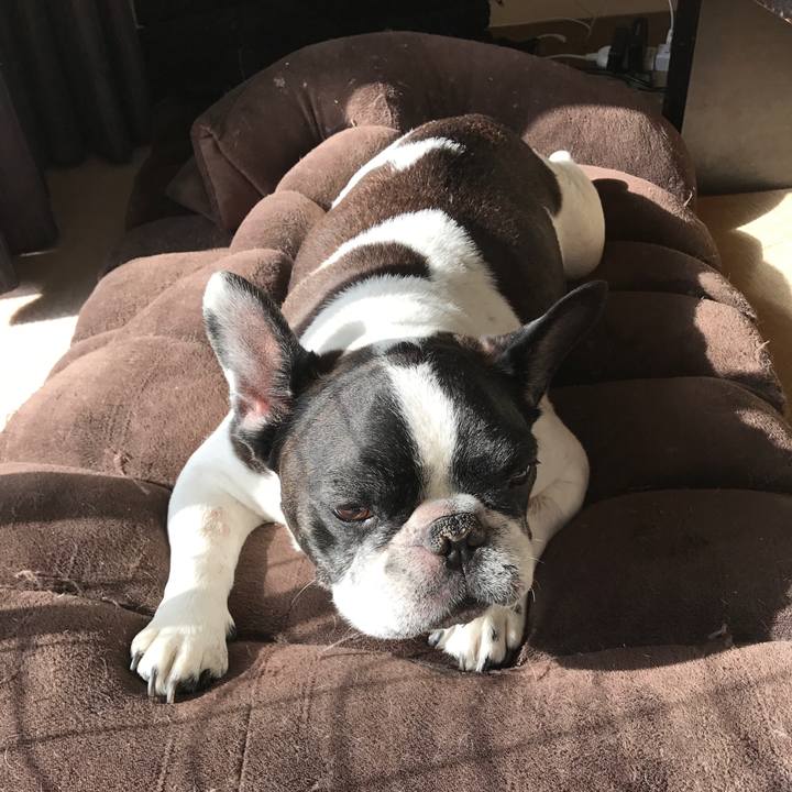 21ad20ca 96c0 4764 aff3 9e9261925f3f