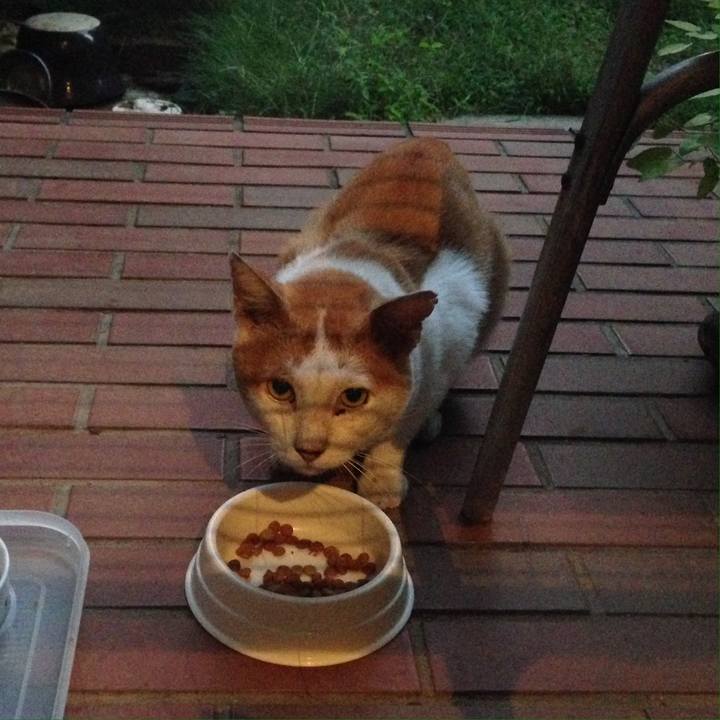 21ad49be 3cd2 4296 9d36 bbdc6b3bebda