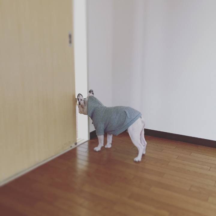 21ad8224 30a7 4440 a9b1 85de9abc0a37