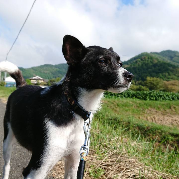 21add507 3f36 4df1 9967 8292be6391c3