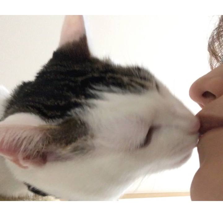 21ae2fc8 046b 4923 bd6f b5dd69b360ee