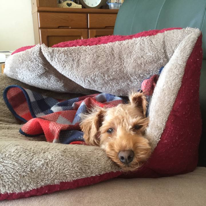 21ae5152 00db 4e37 9ed7 098c54f86116