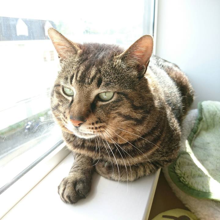 21aea470 0247 46b8 9123 4aecb8c73803