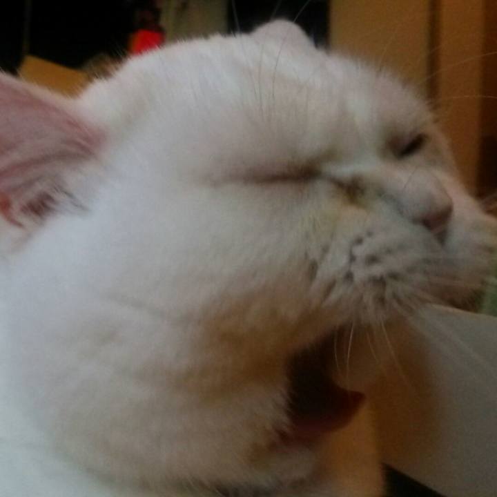 21b08712 70dc 41d0 8410 eab4d2a98fb2