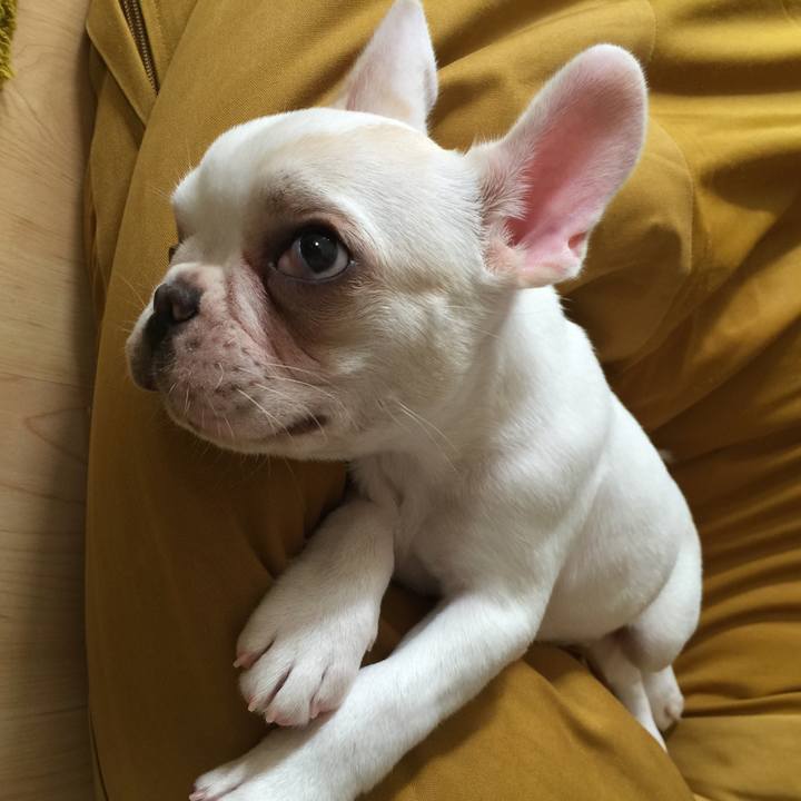 21b0f872 5c7d 4d39 b310 f1757d167654