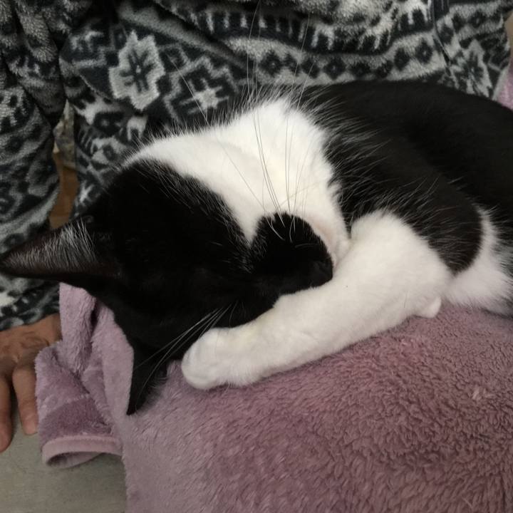 21b27fbb 9988 46bb a52f 9f77fe3350ad