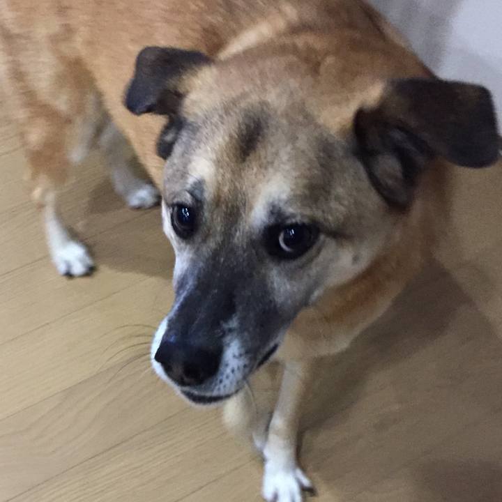 21b2ea77 ab29 416a 8200 5204c6f89794