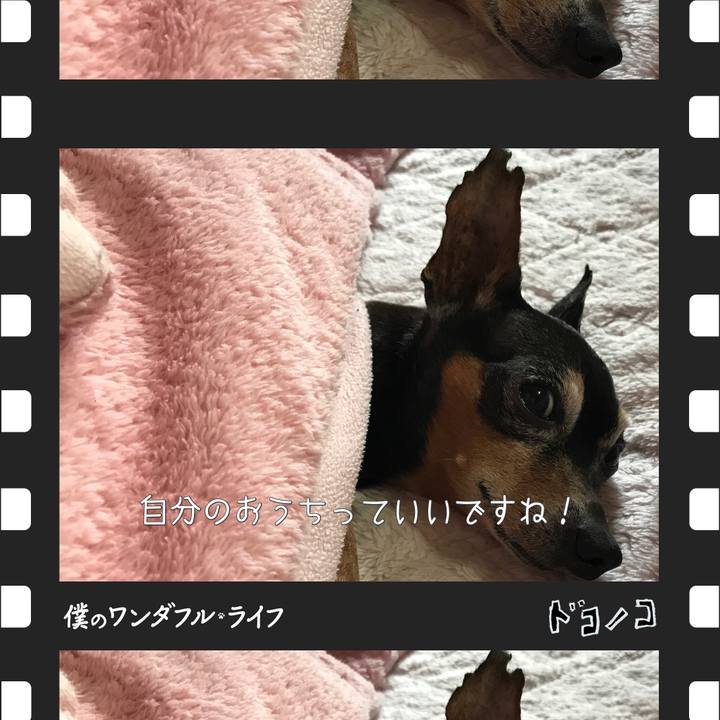 21b30a13 1d93 4335 bd23 4ee09cfe6d49