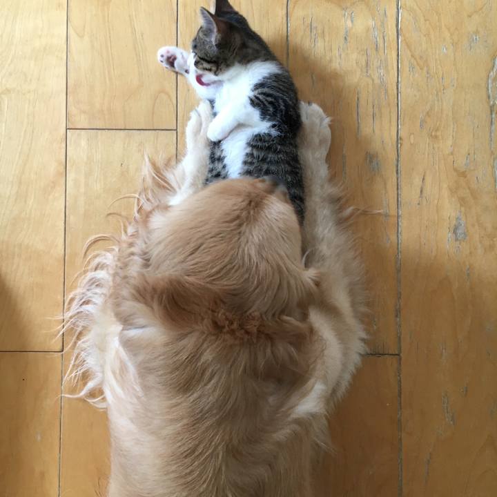 21b36a0d 70fb 44be 8de5 3397ce127a09