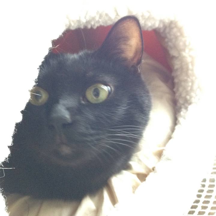 21b38857 bbca 49e6 93dc b7f6bc30b80e