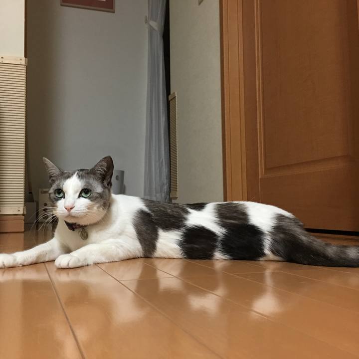 21b4039b 2ee2 4ed1 8313 64795ead09db