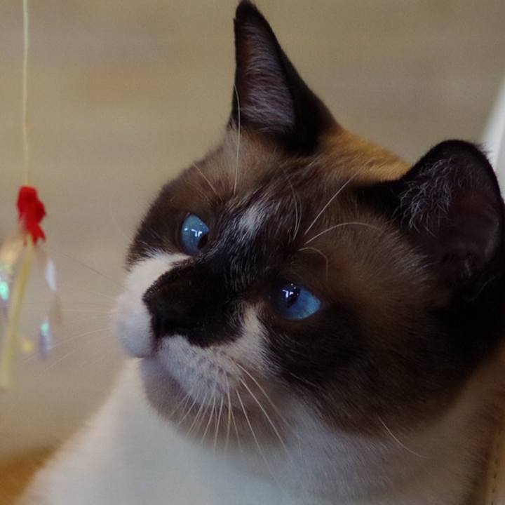 21b43abd 85e8 43b0 8ea7 2ceddf50c4b7