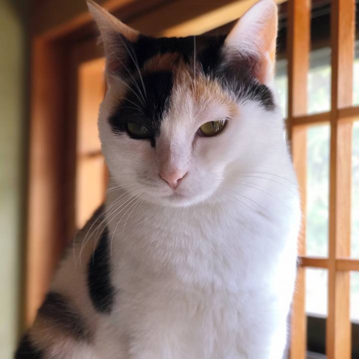 21b46919 910e 40d7 9047 029129f6a6d9