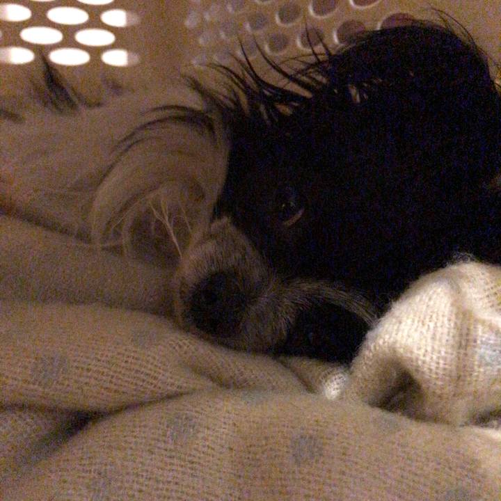 21b4c89c 8ac2 4806 ba5d 34384856ac31