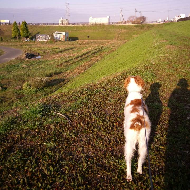 21b4daa8 33ea 40f3 ae83 29ca53f59d56