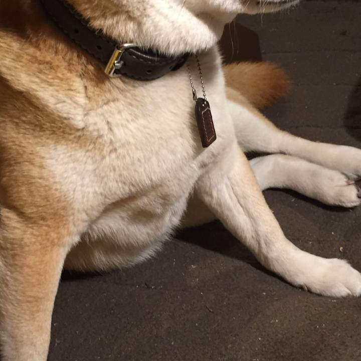 21b63f04 3092 47ec a49d fe9e136d0fae