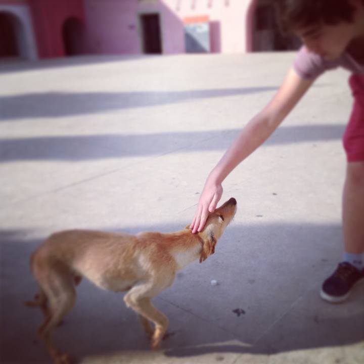 21b73e97 eea1 45f4 ade4 f24b655aa65a