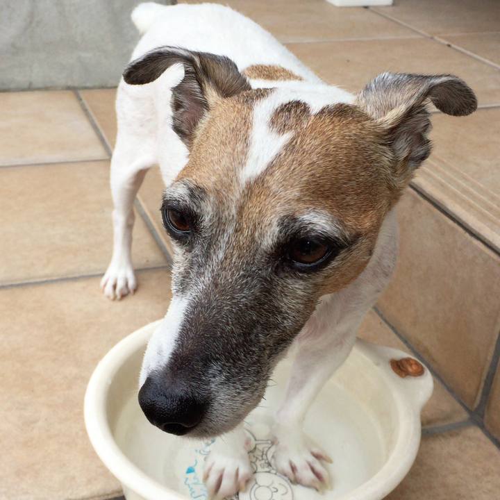 21b79982 86c5 46da aac6 2ca755de2cf5