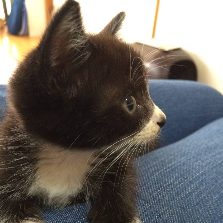 21b7e69c 0996 4435 b9ae 6c6439116812