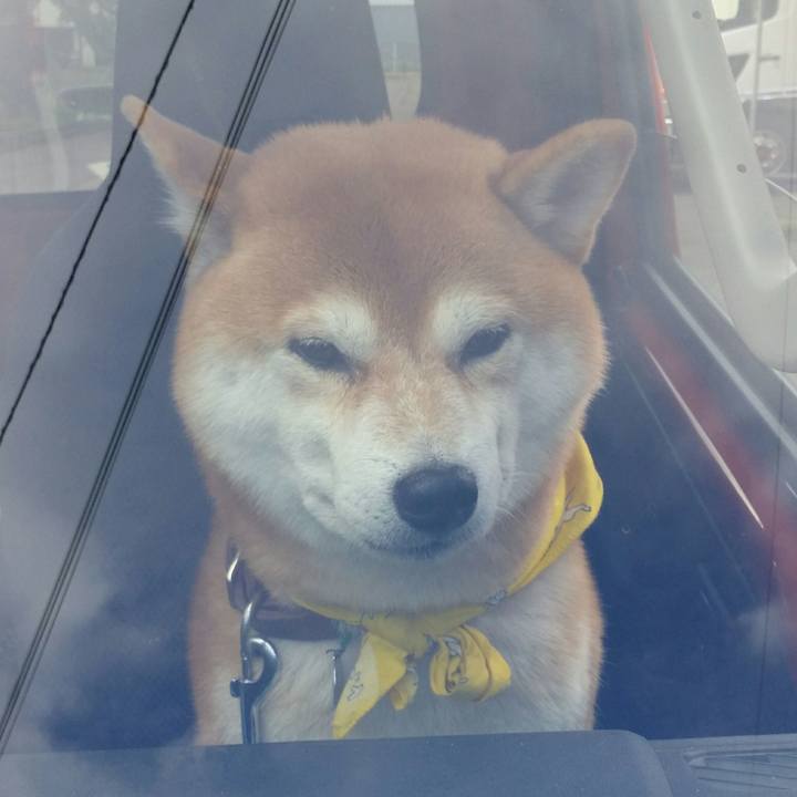 21b808b5 96a2 4498 b021 37c1fad2a567