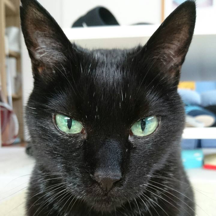 21b82660 2b95 4b95 b853 75d189f70f58