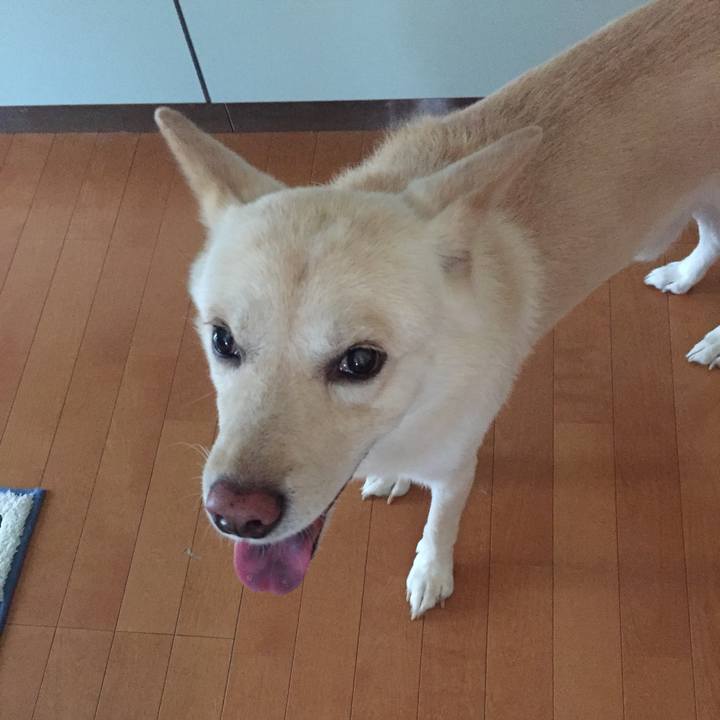 21b84001 6379 4f4c abcc 53753056f5a3