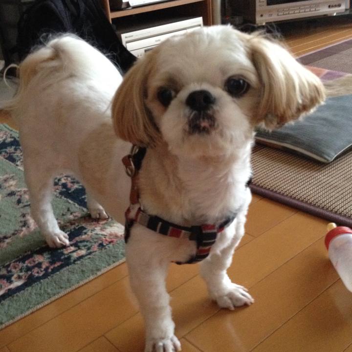 21b8409b 505c 4f8d 8959 aca76e434ee1