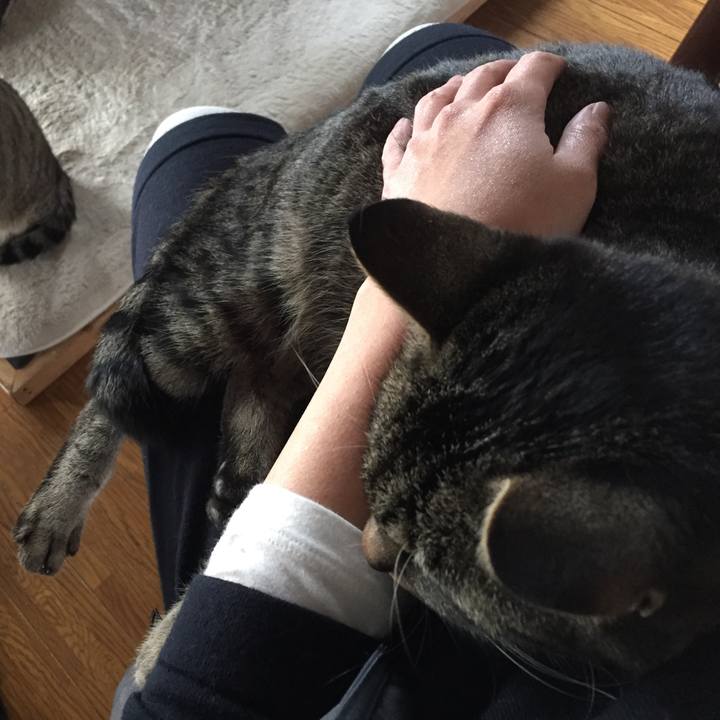 21b966c9 b548 432f 94ee 8054b0822e2a