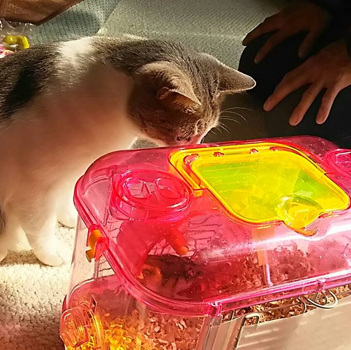 21b99487 b918 4c05 a07f 2efe1d6778f5