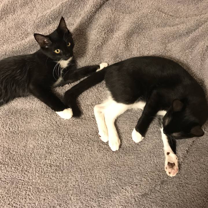 21ba830a 8143 4b83 87a7 26210d907b30