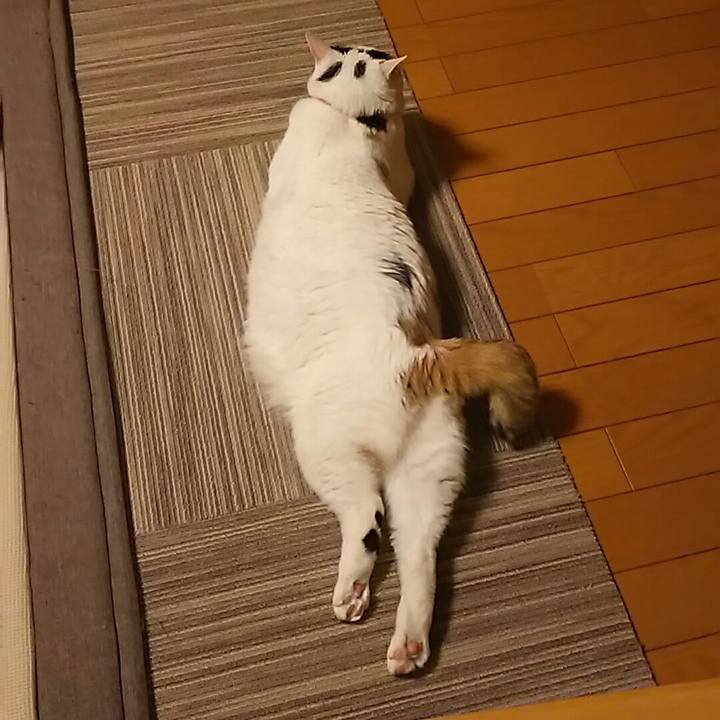 21bac967 1fdb 4751 801a cea62628c4d7