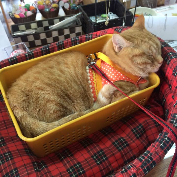 21baf3cc 30d5 466f 8ffb cdc6e653e1fb