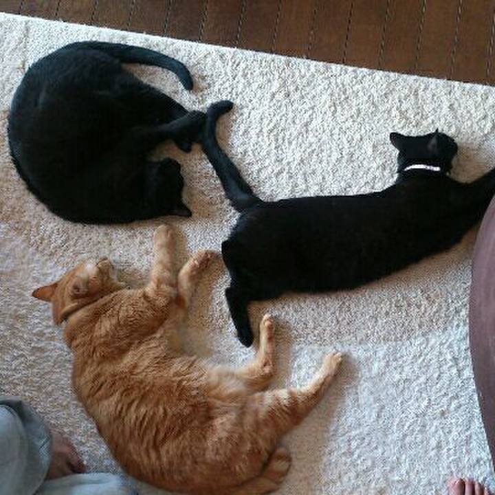 21bafcb3 f9bf 4c82 a7a0 8944ee39cd38