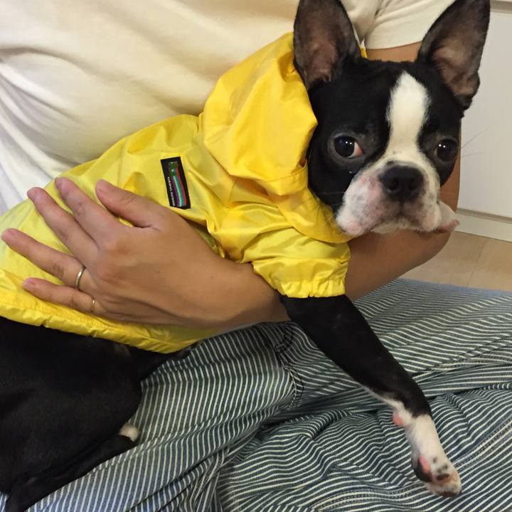 21bb12f4 d4d6 4f26 bdf5 f08e213577f1