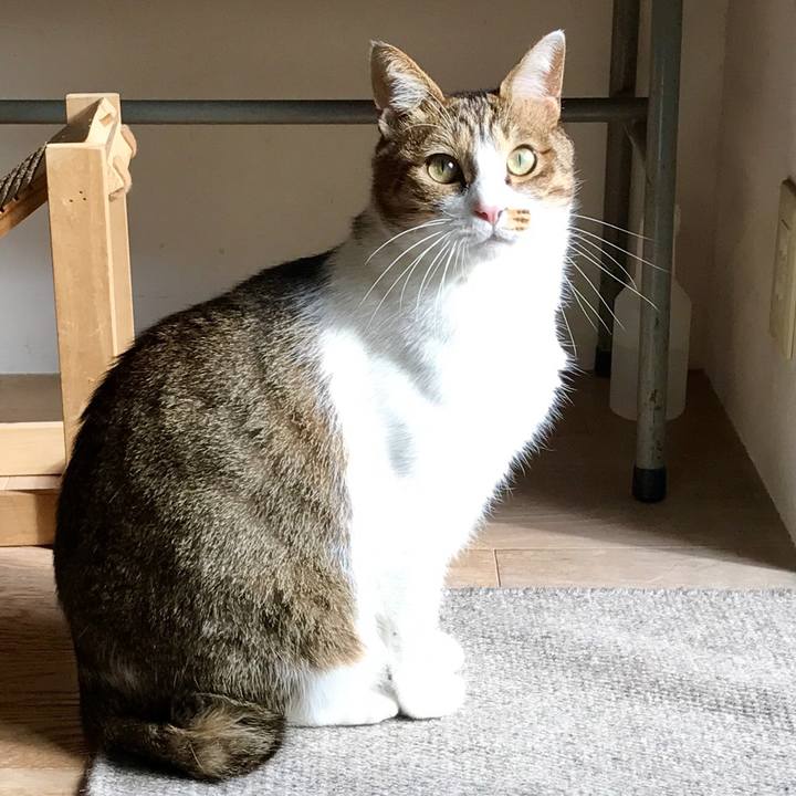 21bbd3d4 3c6e 4d5d 9b83 847cecf94965