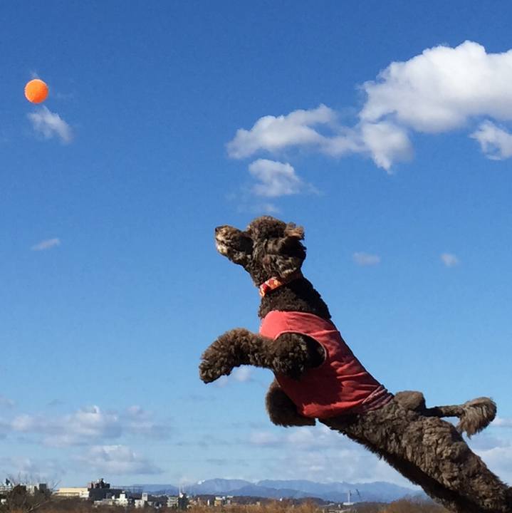 21bbddf2 f267 40c9 8d79 98b2a6971059