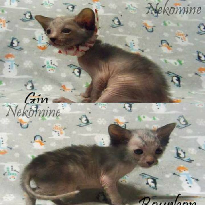 21bbf312 d8a4 4af2 9730 d1d853acdd86