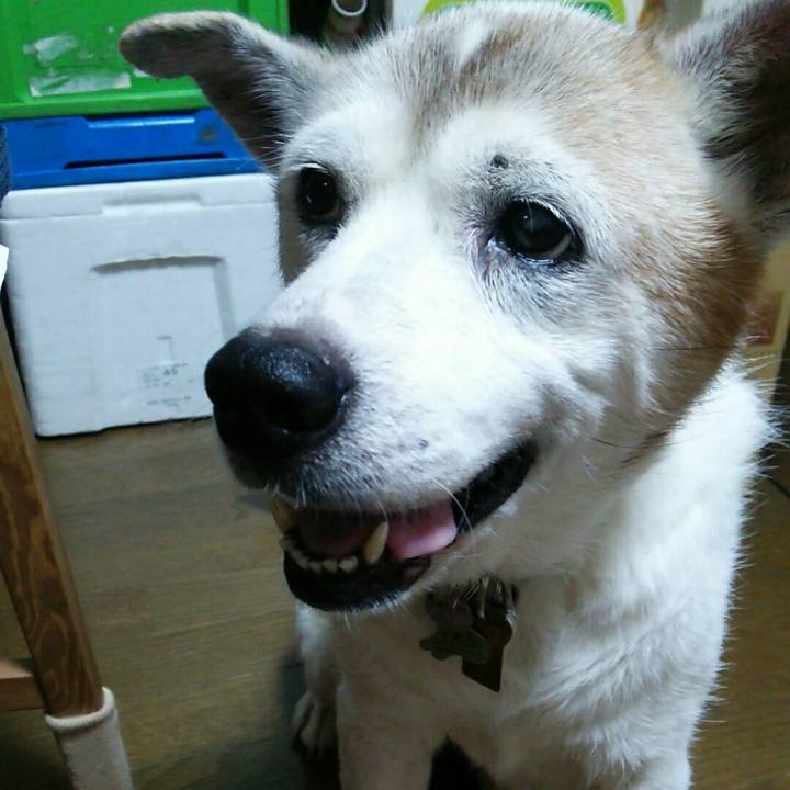 21bc0184 89b3 40bd 9a23 498ba14593ba