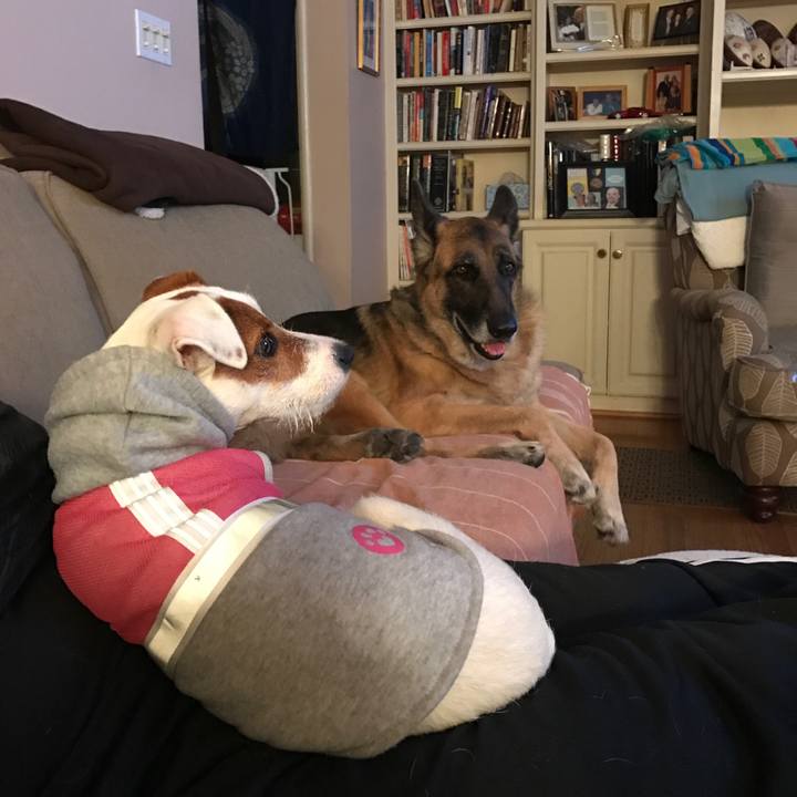 21bc1600 8636 4d5d 9cf0 ce4e921a4d36