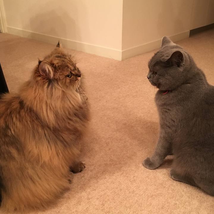 21bc2997 3ac2 4959 9f87 47f891f9bc0a