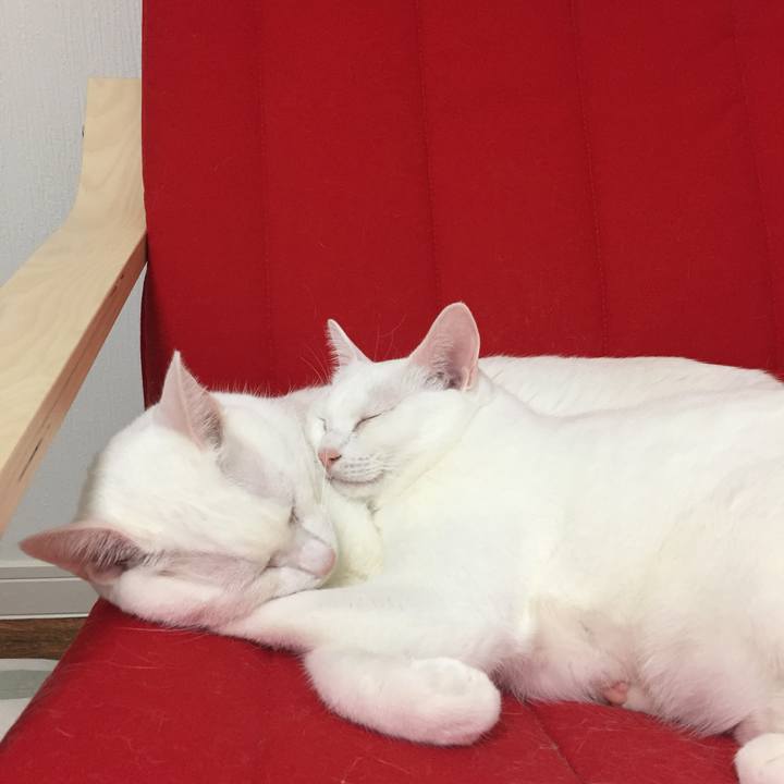 21bc3f23 b10b 478b 839a 4963e510f381