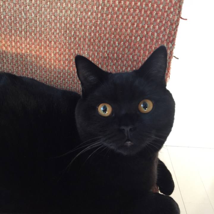 21bcae57 d520 4ce9 831d 7b55d43a122b