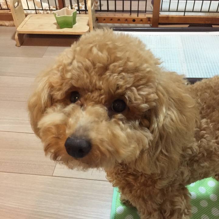 21bd8a8d f44f 4079 a847 0a9be48b3fa5