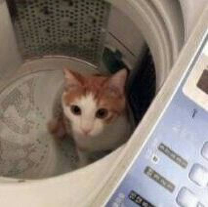 21be20f5 7e7c 4185 8267 b5418303fcca