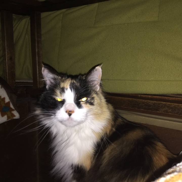 21c00fa1 61fd 4525 a386 2609daa414b6