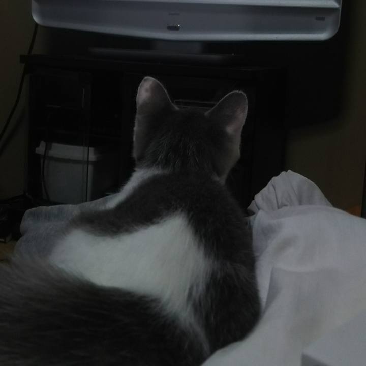 21c02531 bdf6 4ab2 afce 94a46b5f84a4