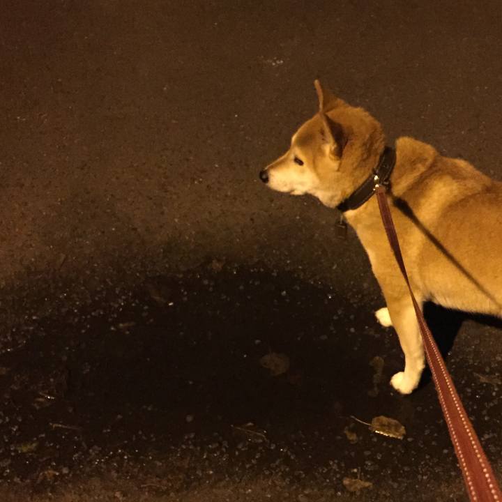 21c05ad3 74d6 4704 872e 3e73c385c51b