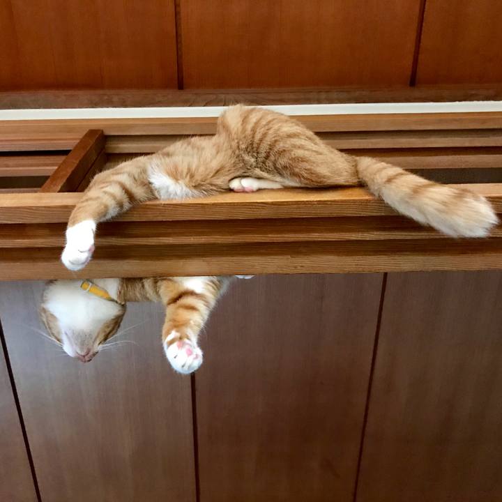 21c0c749 c6c0 4297 ad15 377386ab638a