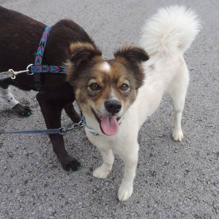 21c0d77f dc28 4ec2 a55e 2c84a8ab973f