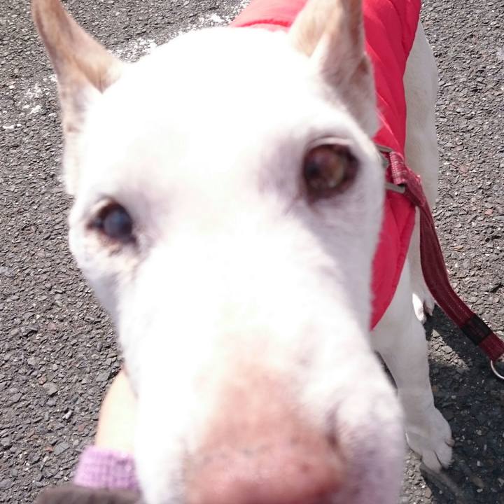 21c0d8a2 bec3 4217 aa24 a1663c942b71